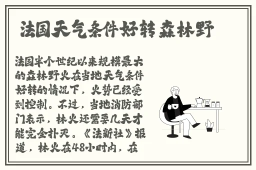 激情办公室之**燕
