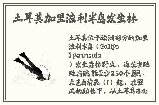 国产精品亚洲一区二区三区正片